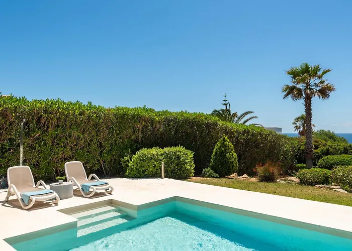 Mariposa Villa Sant Lluis