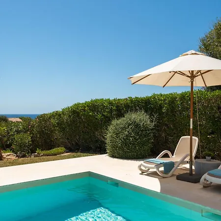 Mariposa Villa Sant Lluis