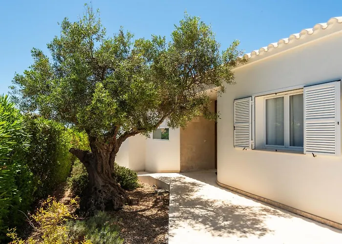 Mariposa سانت يويس